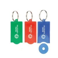 Key Tag DS592